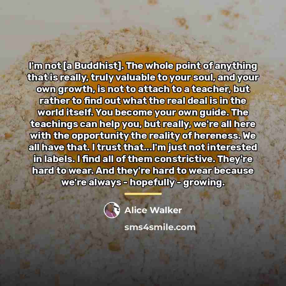 “I'm not [a Buddhist]. The whole point of anything that…” quote by Alice Walker