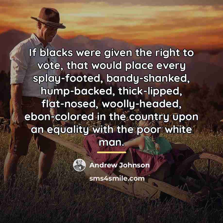 “If blacks were given the right to vote, that would…” quote by Andrew Johnson