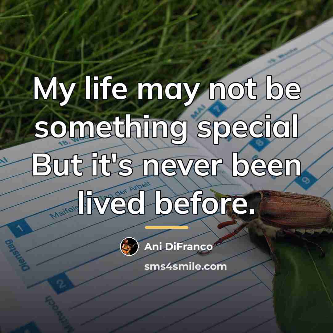 “My life may not be something special But it's never…” quote by Ani DiFranco