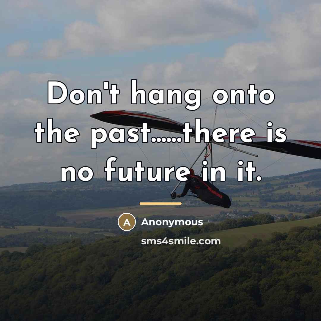 “Don't hang onto the past......there is no future in it.…” quote by Anonymous