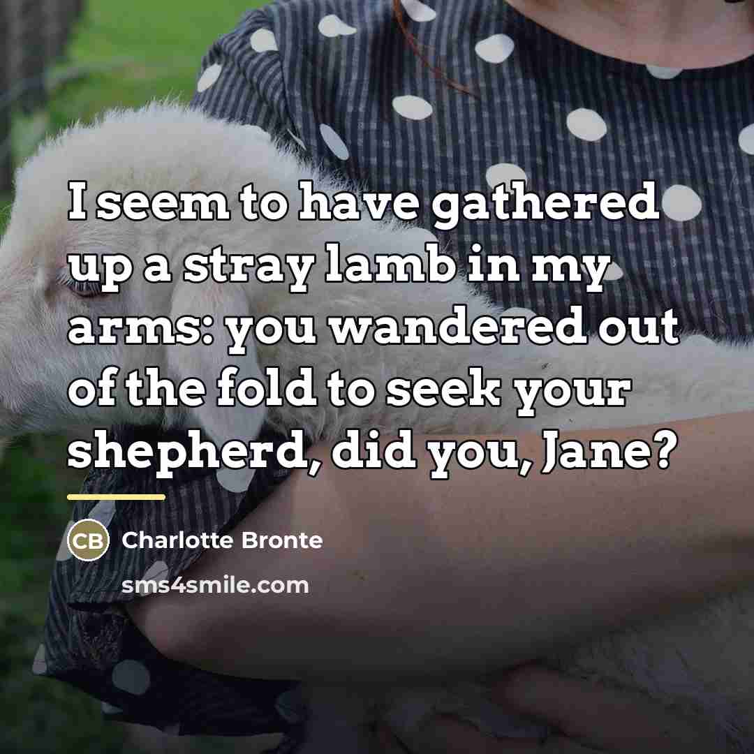 “I seem to have gathered up a stray lamb in…” quote by Charlotte Bronte