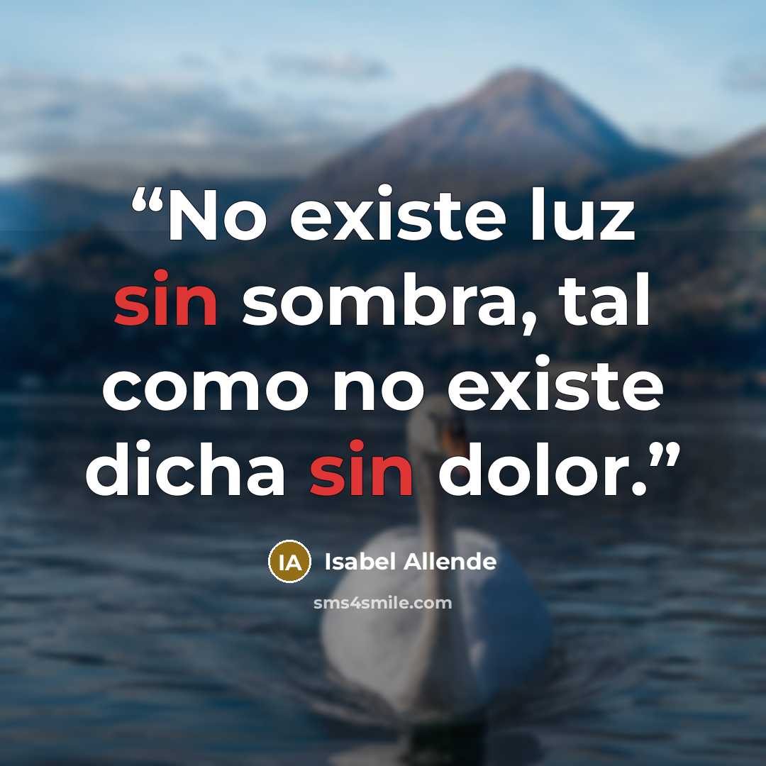 “No existe luz sin sombra, tal como no existe dicha sin dolor.” quote by Isabel Allende