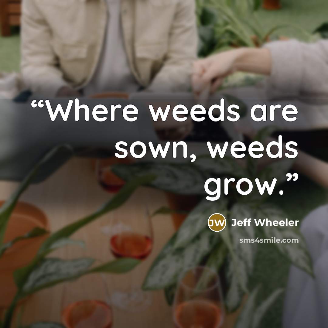 “Where weeds are sown, weeds grow.” quote by Jeff Wheeler