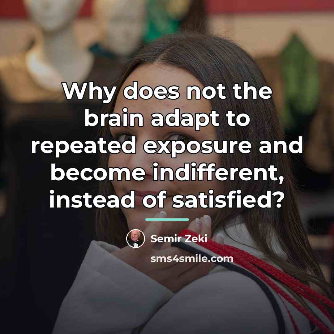 “Why does not the brain adapt to repeated exposure and…” quote by Semir Zeki