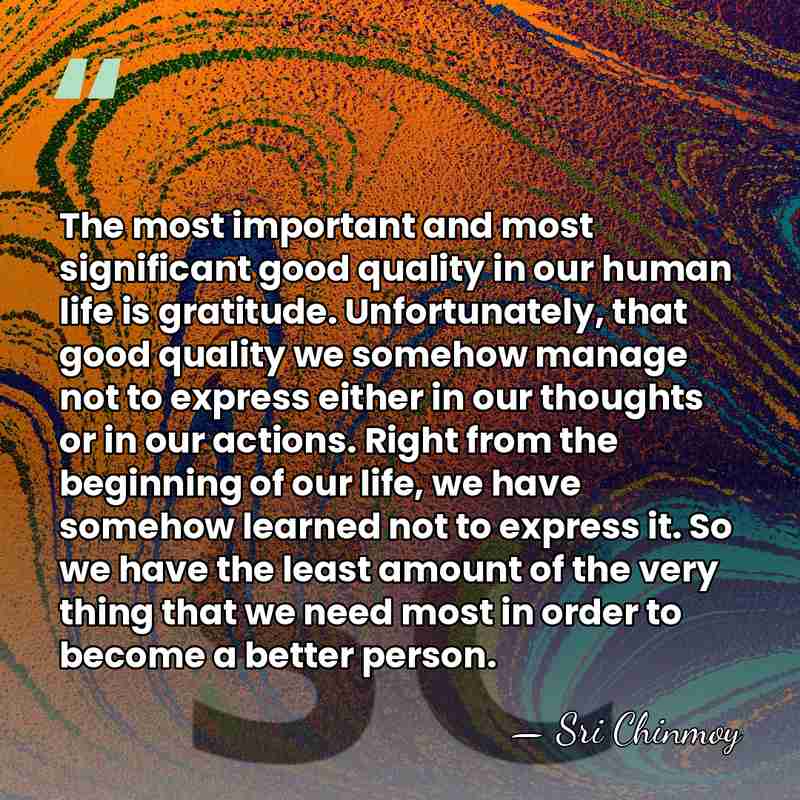 The most important and most significant good quality in our human life&hellip; - Sri Chinmoy
