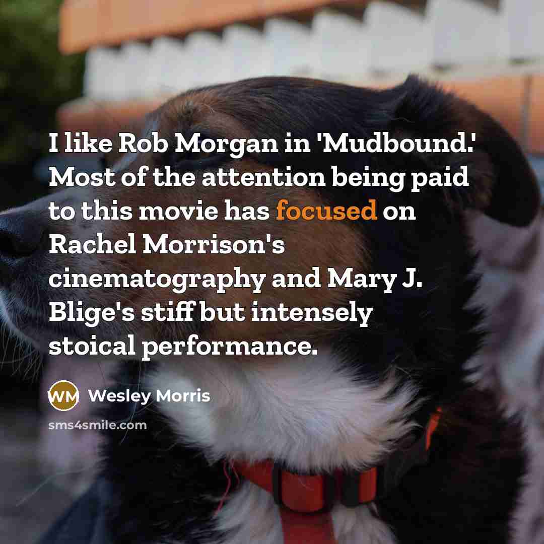 “I like Rob Morgan in 'Mudbound.' Most of the attention…” quote by Wesley Morris