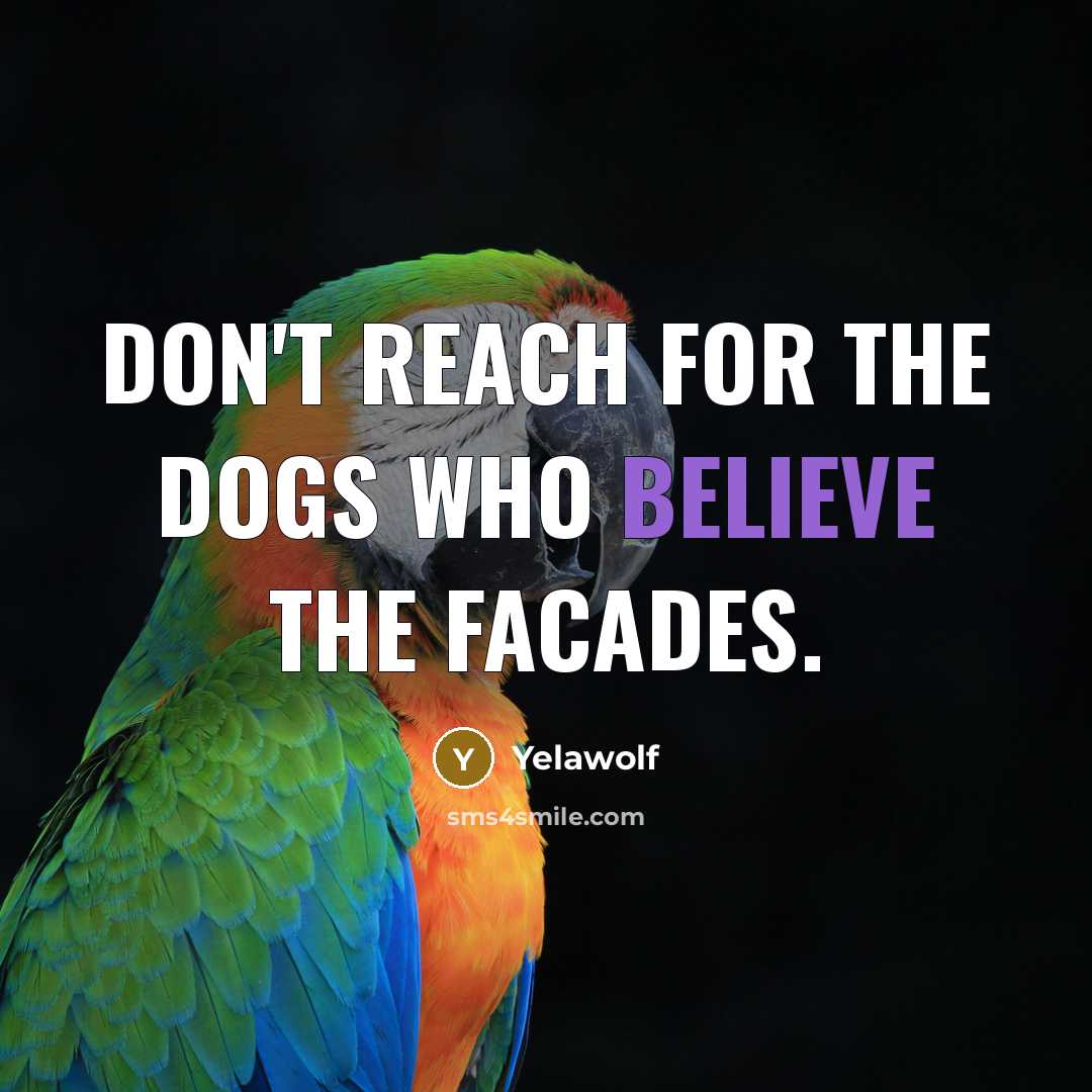 “Don't reach for the dogs who believe the facades.” quote by Yelawolf