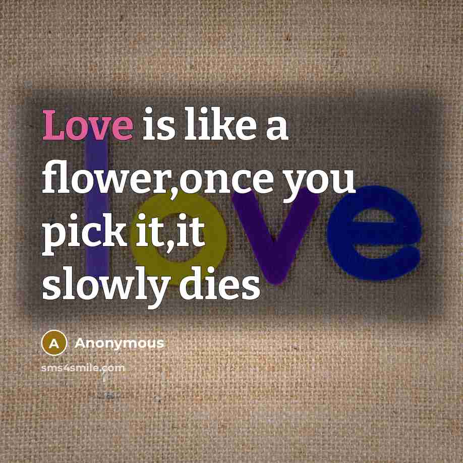 “Love is like a flower,once you pick it,it slowly dies…” quote by Anonymous
