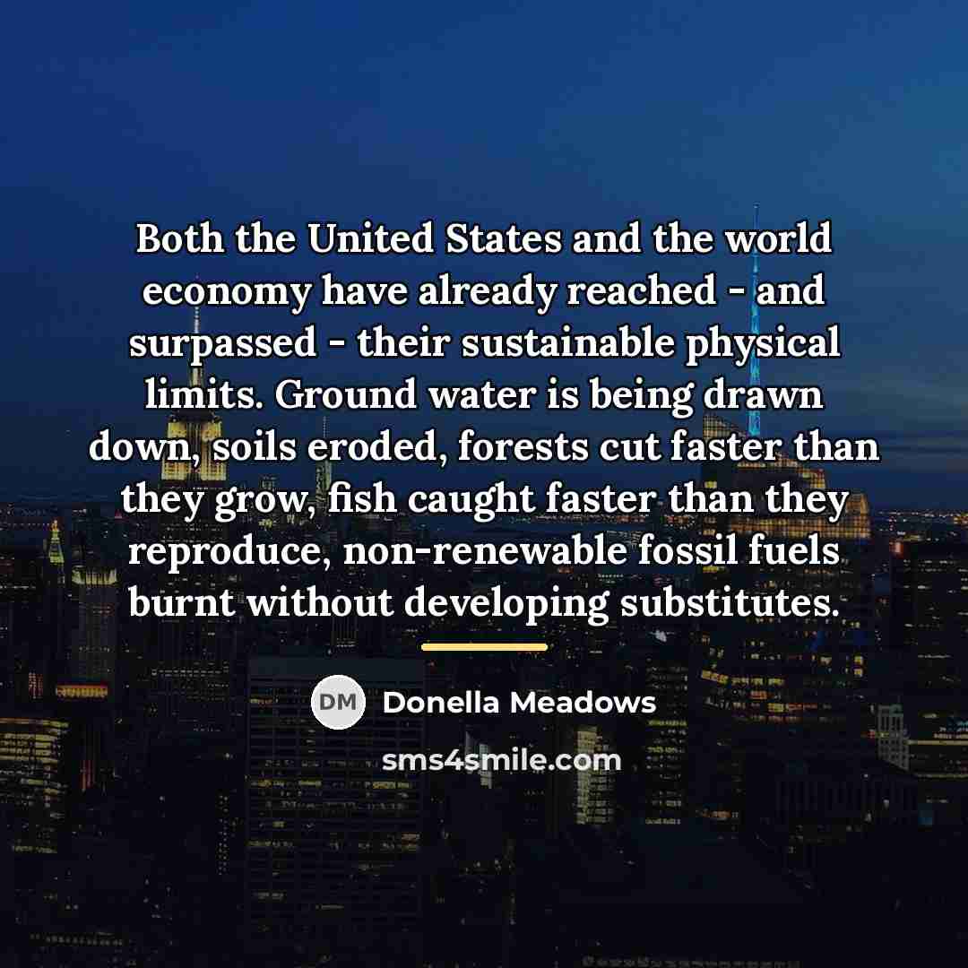 “Both the United States and the world economy have already…” quote by Donella Meadows