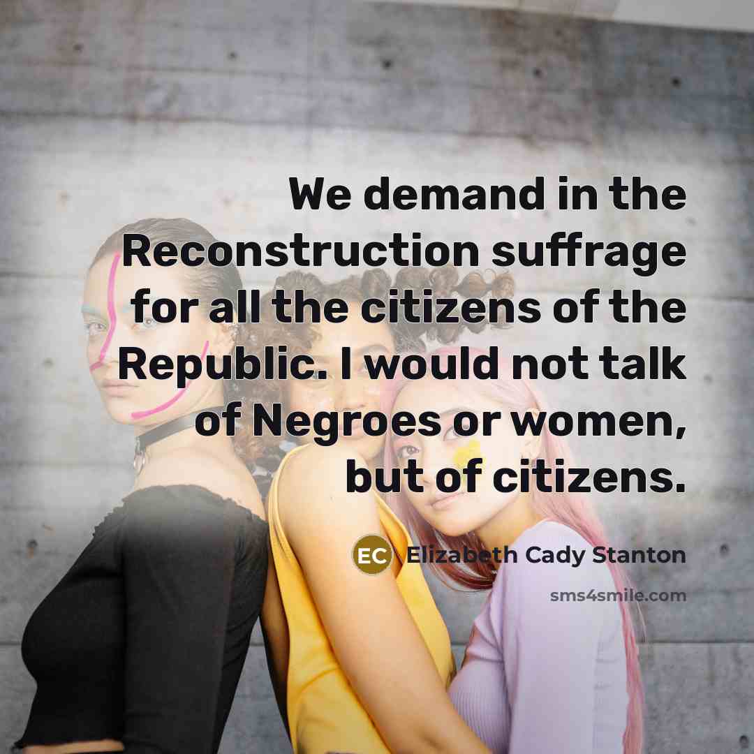 “We demand in the Reconstruction suffrage for all the citizens…” quote by Elizabeth Cady Stanton