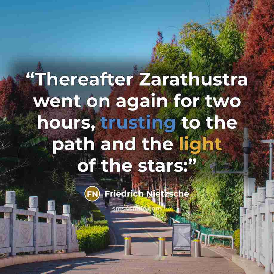 “Thereafter Zarathustra went on again for two hours, trusting to the path and the light of the stars:” quote by Friedrich Nietzsche