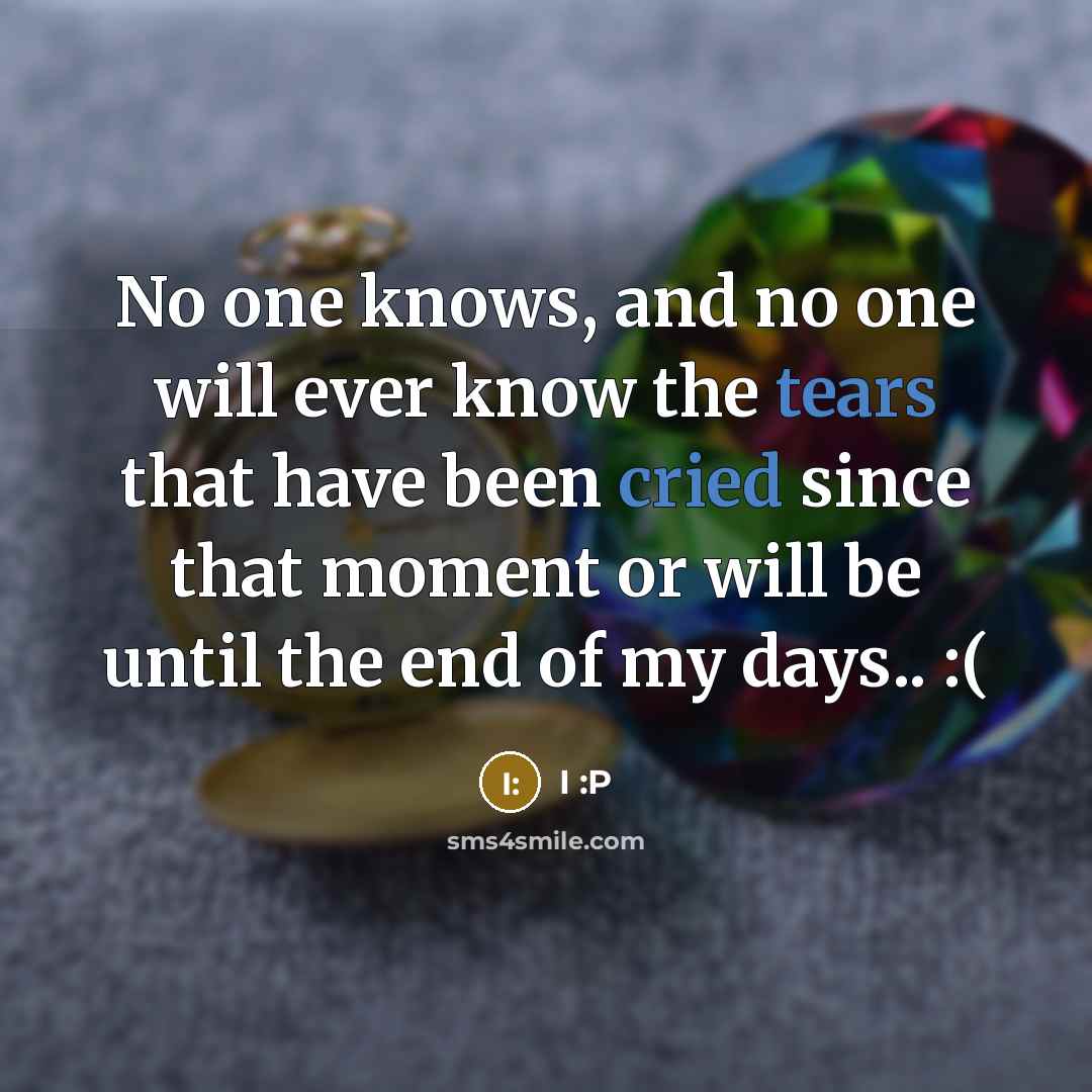 “No one knows, and no one will ever know the tears that have been cried since that moment or will be until the end of my days.. :(” quote by I :P