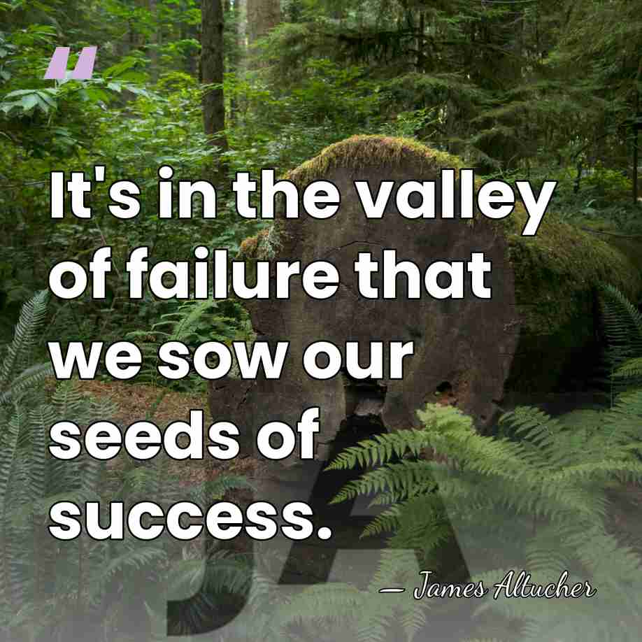 It's in the valley of failure that we sow our seeds of&hellip; - James Altucher