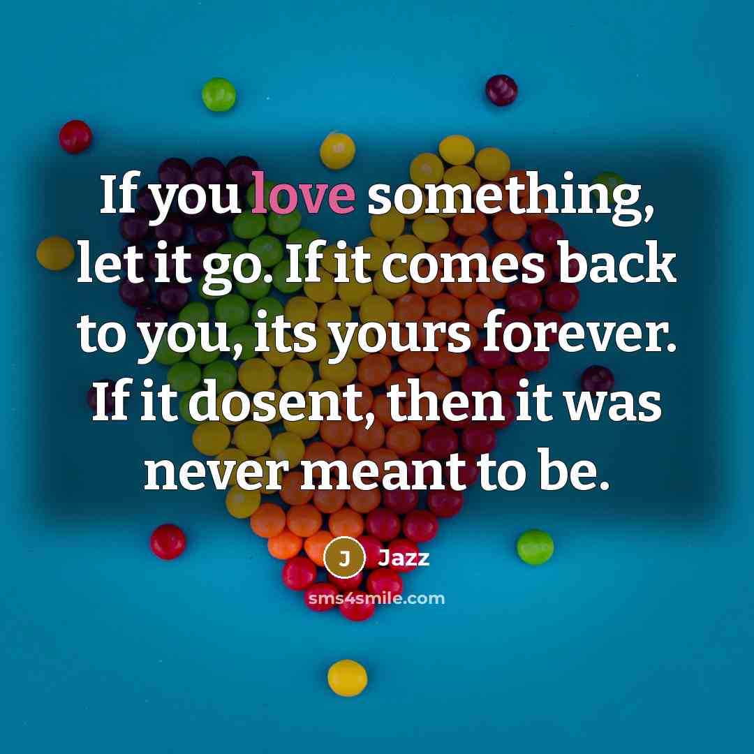 “If you love something, let it go. If it comes back to you, its yours forever. If it dosent, then it was never meant to be.” quote by Jazz