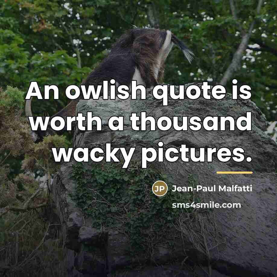 “An owlish quote is worth a thousand wacky pictures.…” quote by Jean-Paul Malfatti
