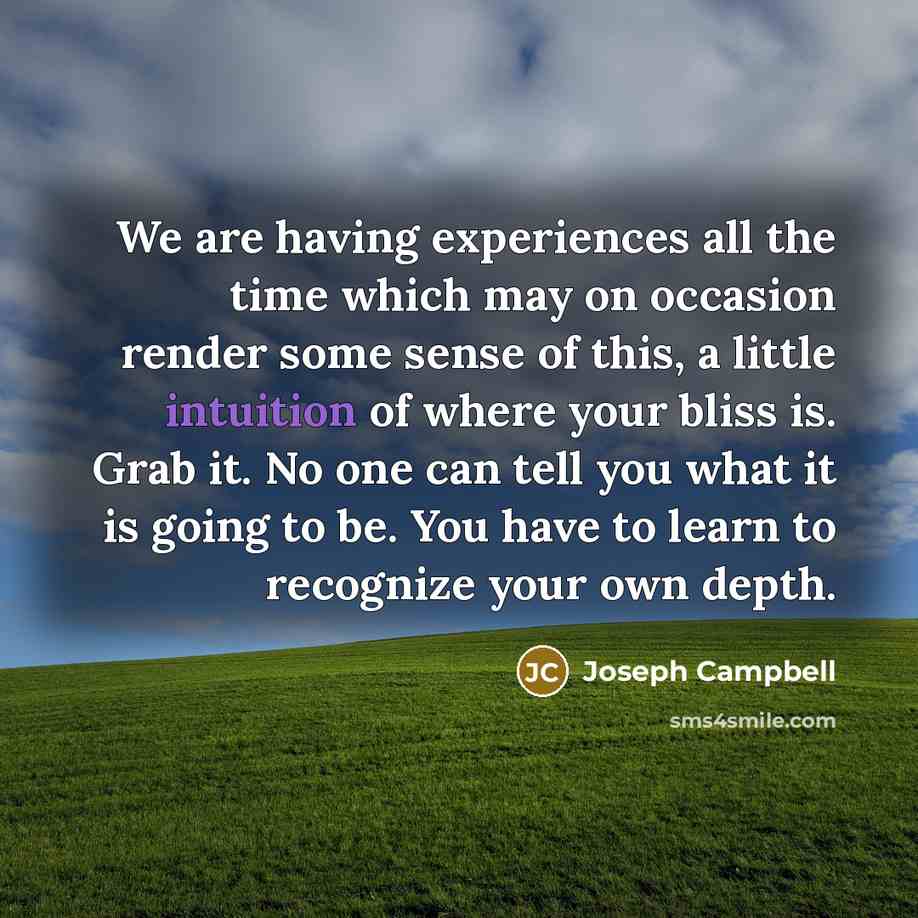 “We are having experiences all the time which may on…” quote by Joseph Campbell