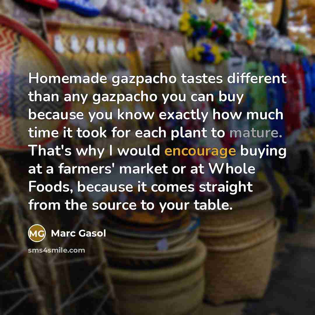 “Homemade gazpacho tastes different than any gazpacho you can buy…” quote by Marc Gasol