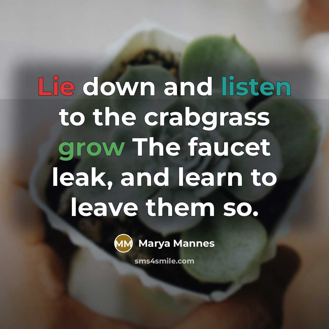 “Lie down and listen to the crabgrass grow The faucet…” quote by Marya Mannes