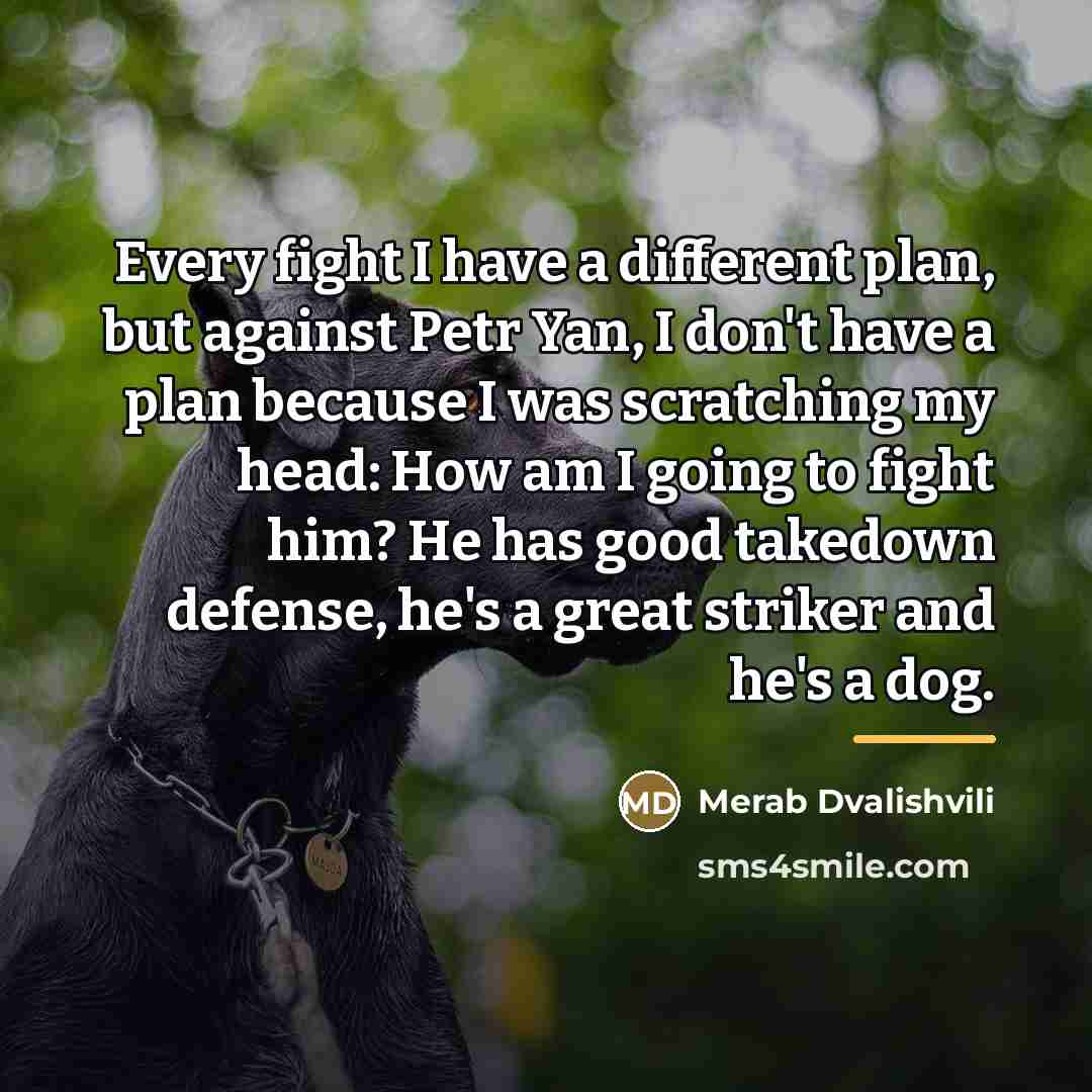 “Every fight I have a different plan, but against Petr…” quote by Merab Dvalishvili