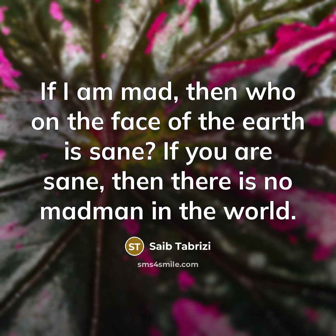 “If I am mad, then who on the face of…” quote by Saib Tabrizi