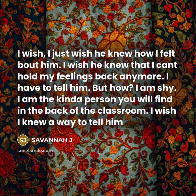 “I wish, I just wish he knew how I felt…” quote by Savannah J