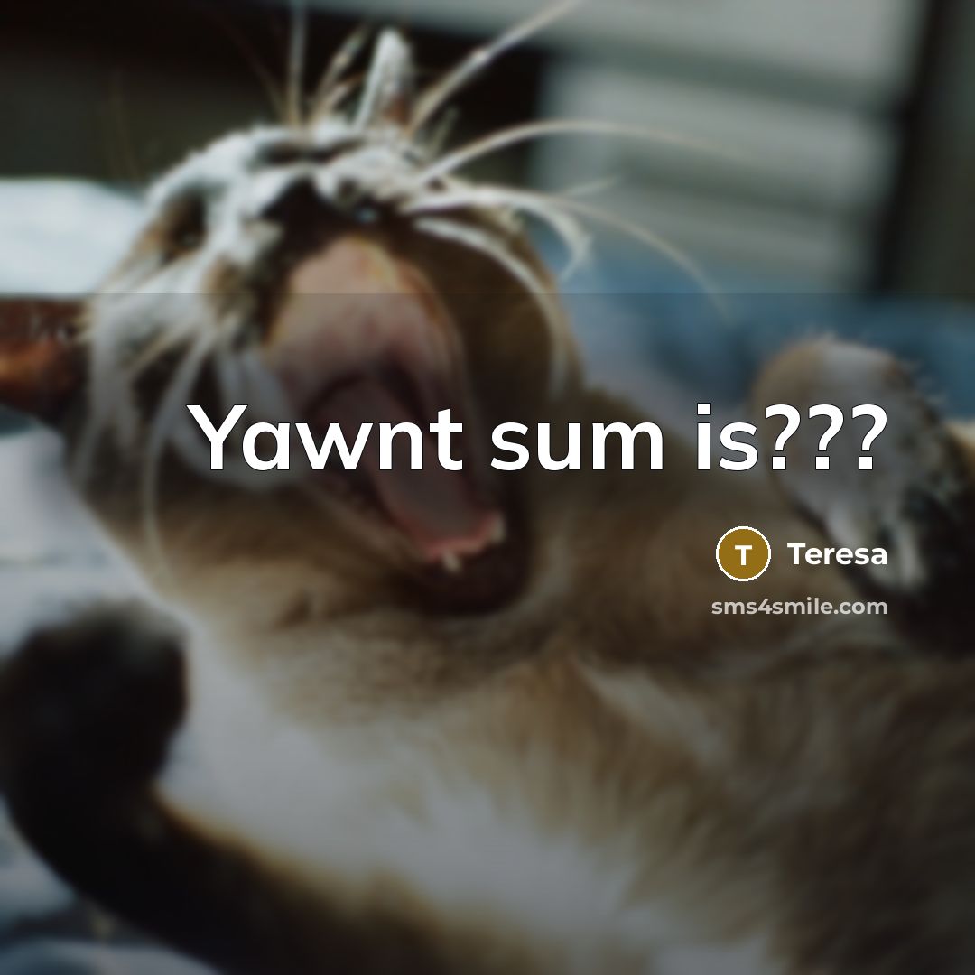 “Yawnt sum is???…” quote by Teresa