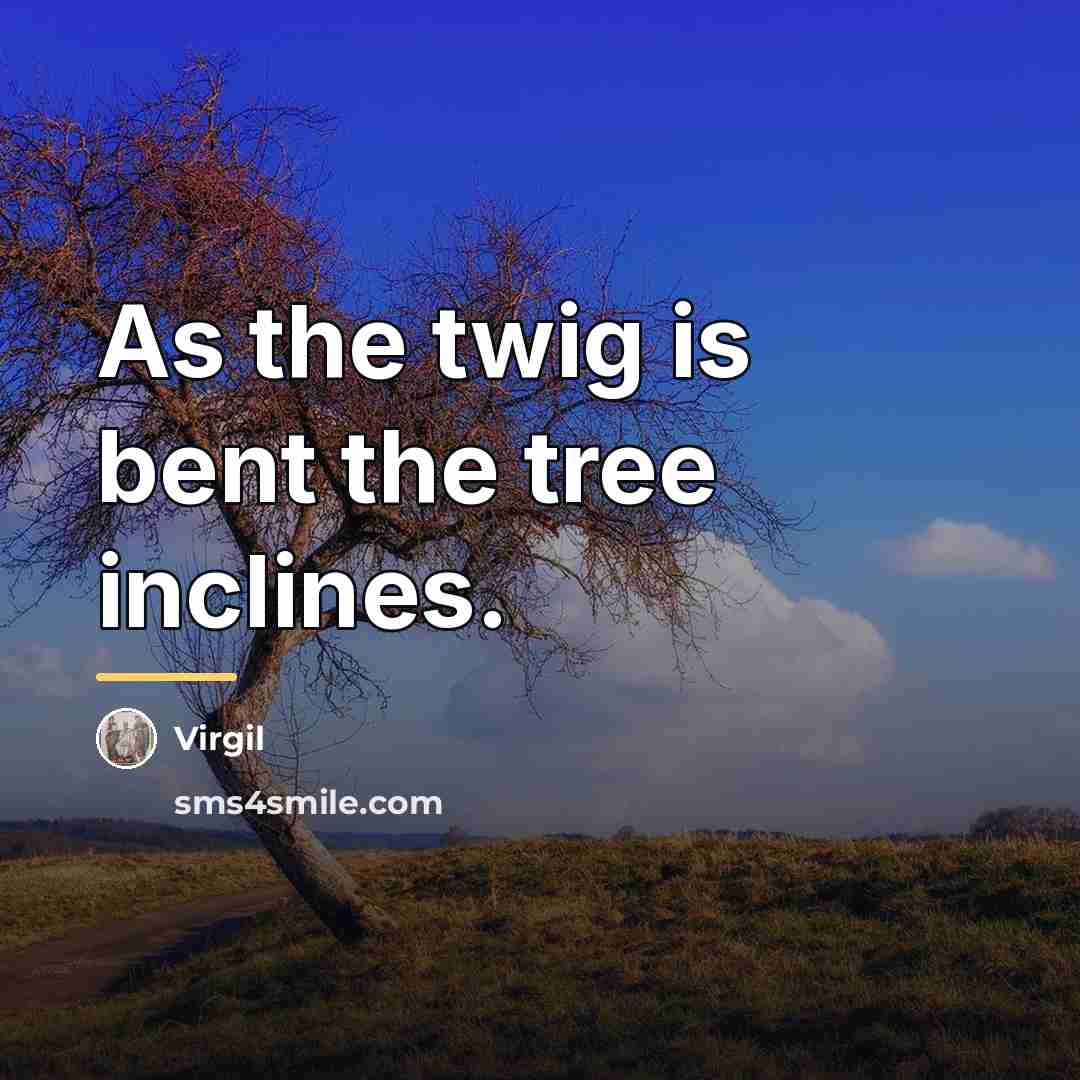 “As the twig is bent the tree inclines.…” quote by Virgil