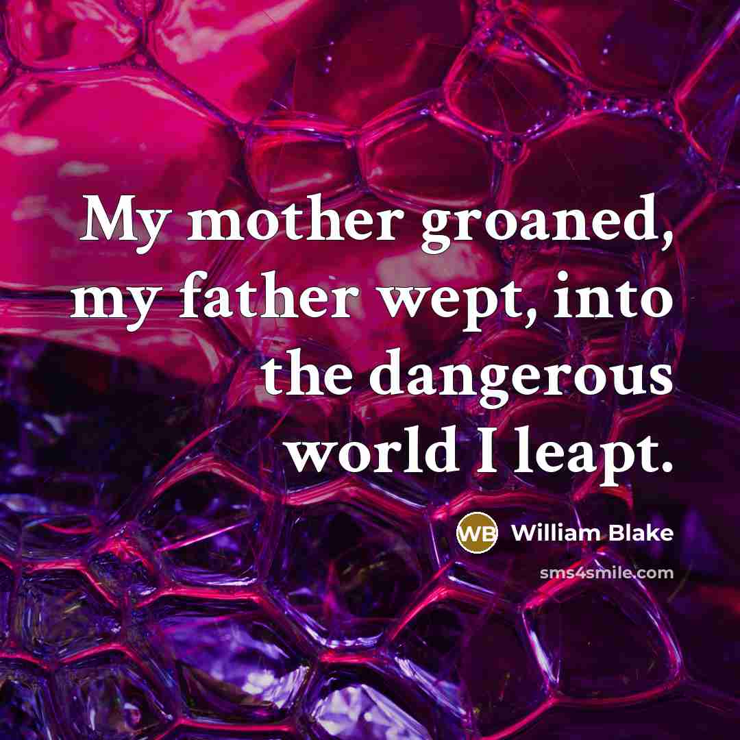 “My mother groaned, my father wept, into the dangerous world…” quote by William Blake