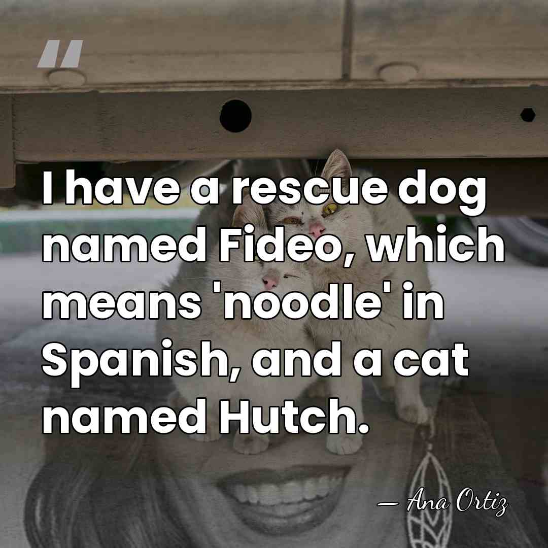 I have a rescue dog named Fideo, which means 'noodle' in Spanish,&hellip; - Ana Ortiz