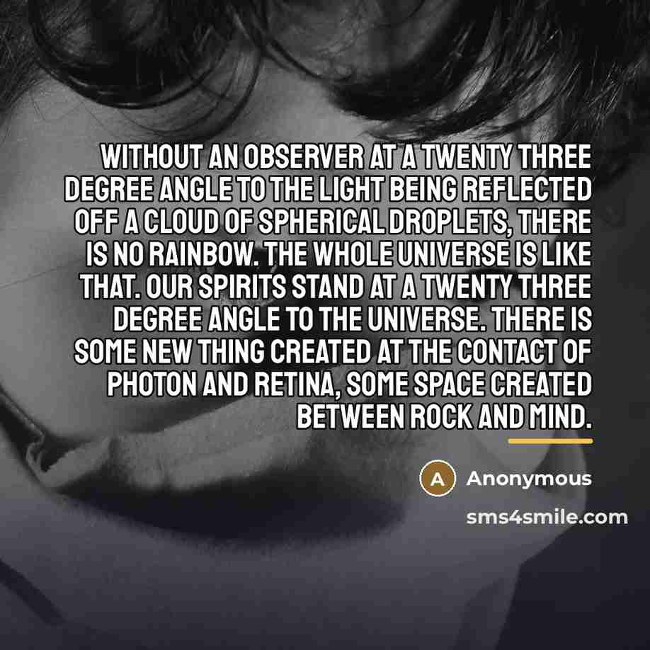 “Without an observer at a twenty three degree angle to…” quote by Anonymous