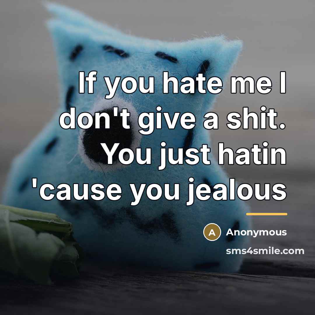 “If you hate me I don't give a shit. You…” quote by Anonymous