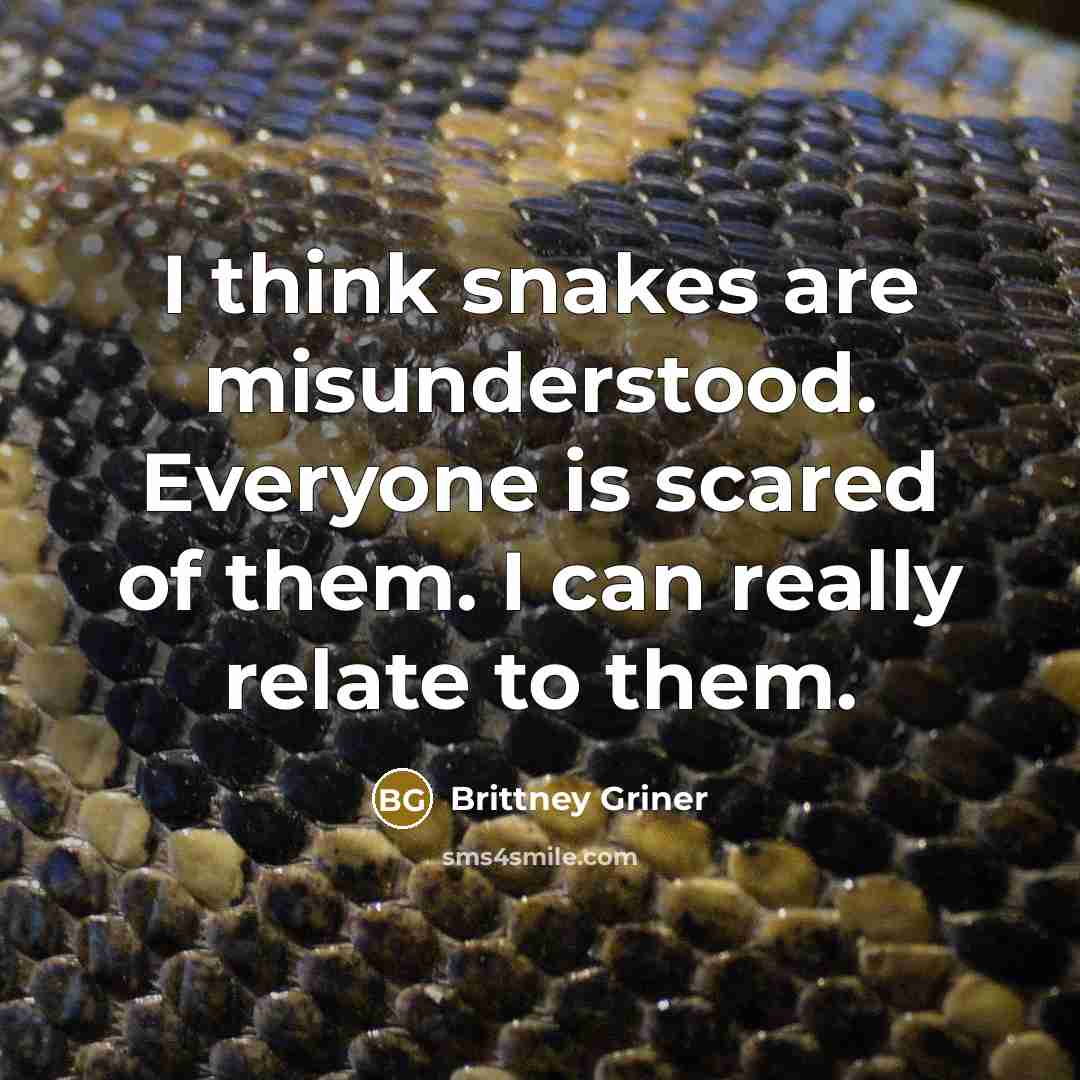 “I think snakes are misunderstood. Everyone is scared of them.…” quote by Brittney Griner