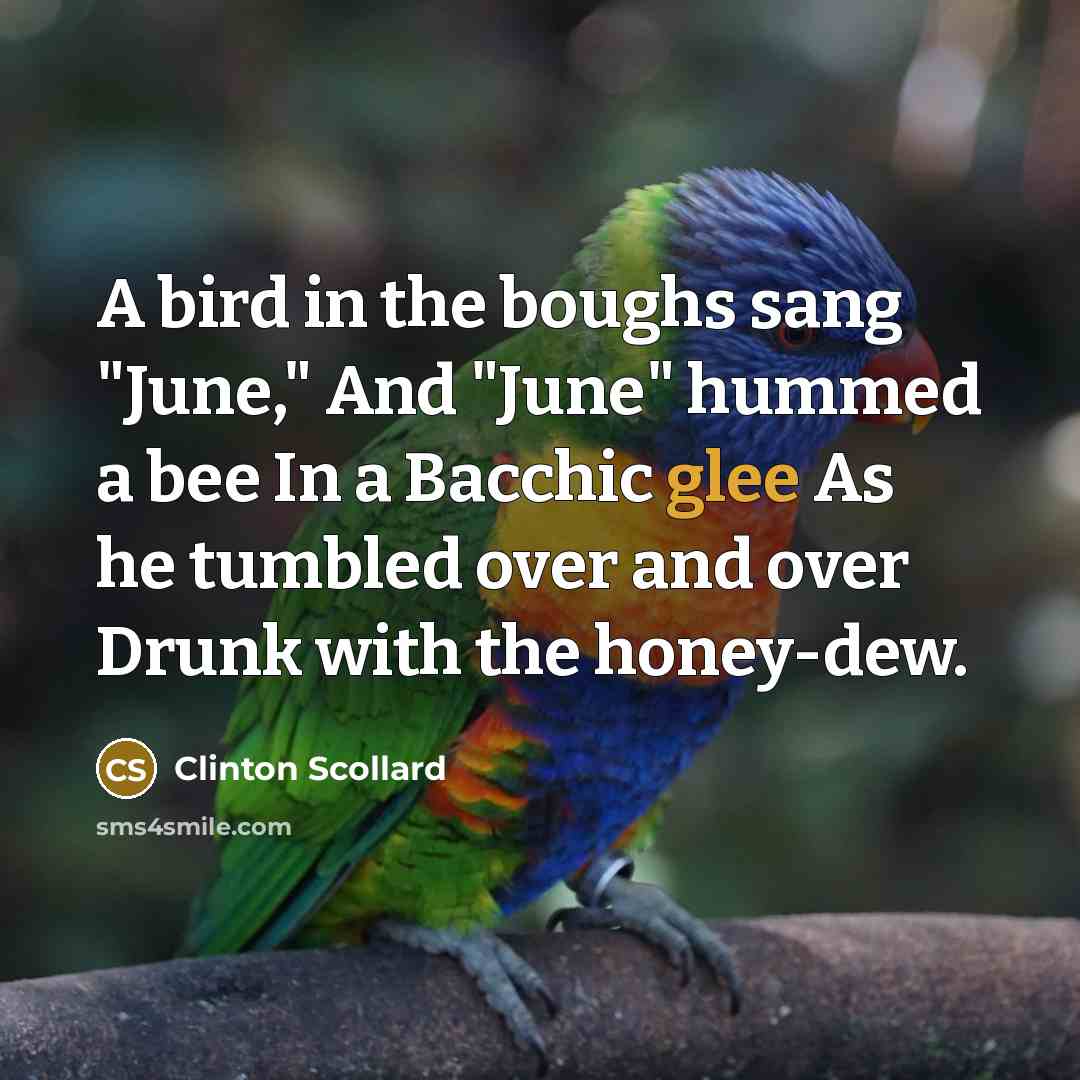 “A bird in the boughs sang "June," And "June" hummed…” quote by Clinton Scollard