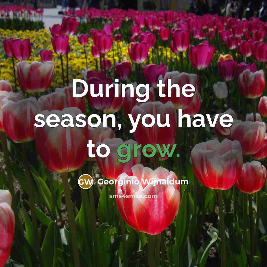 “During the season, you have to grow.…” quote by Georginio Wijnaldum