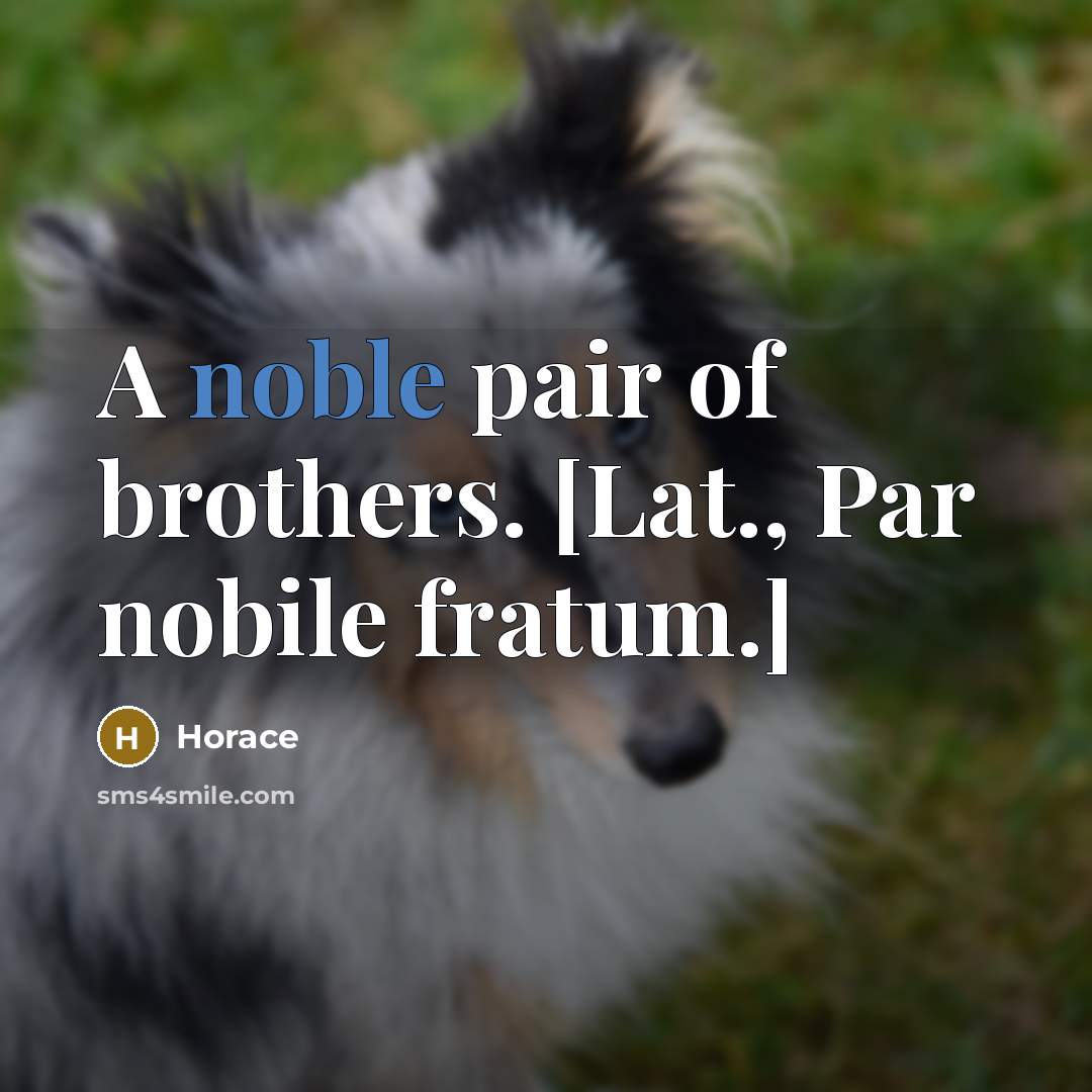 “A noble pair of brothers. [Lat., Par nobile fratum.]…” quote by Horace