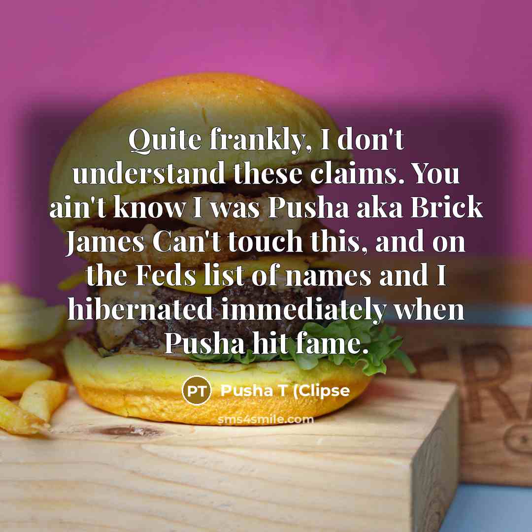 “Quite frankly, I don't understand these claims. You ain't know I was Pusha aka Brick James Can't touch this, and on the Feds list of names and I hibernated immediately when Pusha hit fame.” quote by Pusha T (Clipse
