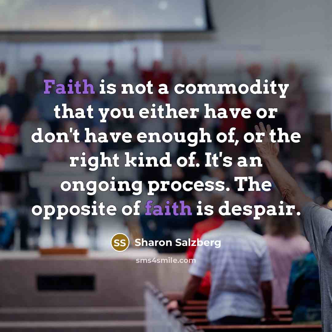 “Faith is not a commodity that you either have or…” quote by Sharon Salzberg
