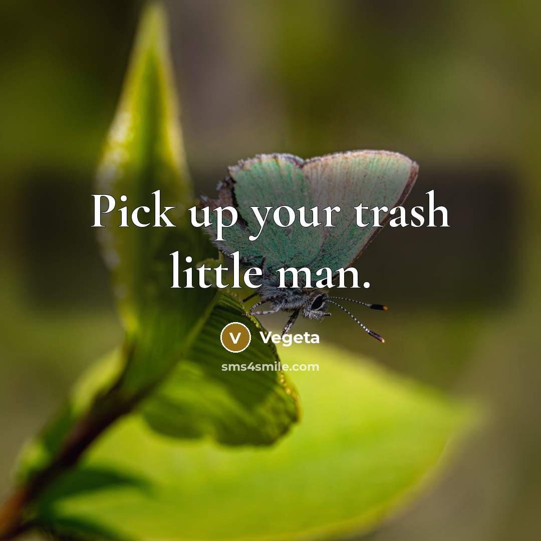 “Pick up your trash little man.” quote by Vegeta