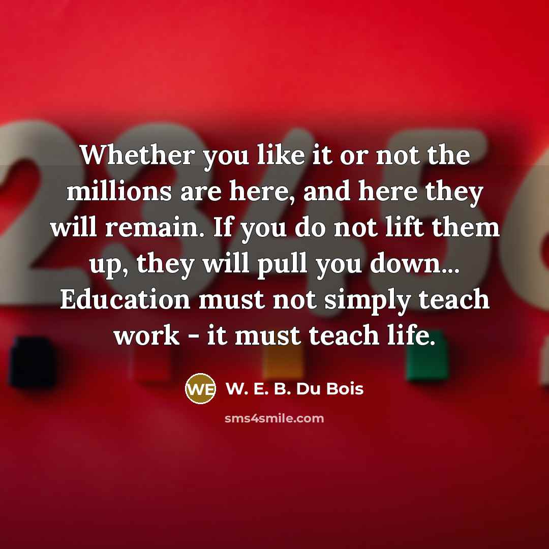 “Whether you like it or not the millions are here,…” quote by W. E. B. Du Bois