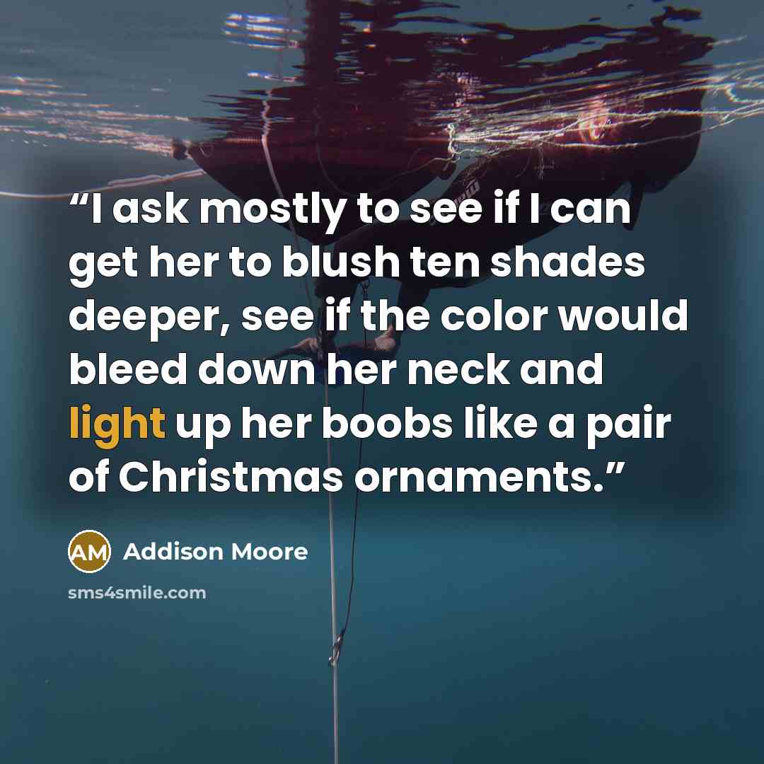 “I ask mostly to see if I can get her to blush ten shades deeper, see if the color would bleed down her neck and light up her boobs like a pair of Christmas ornaments.” quote by Addison Moore