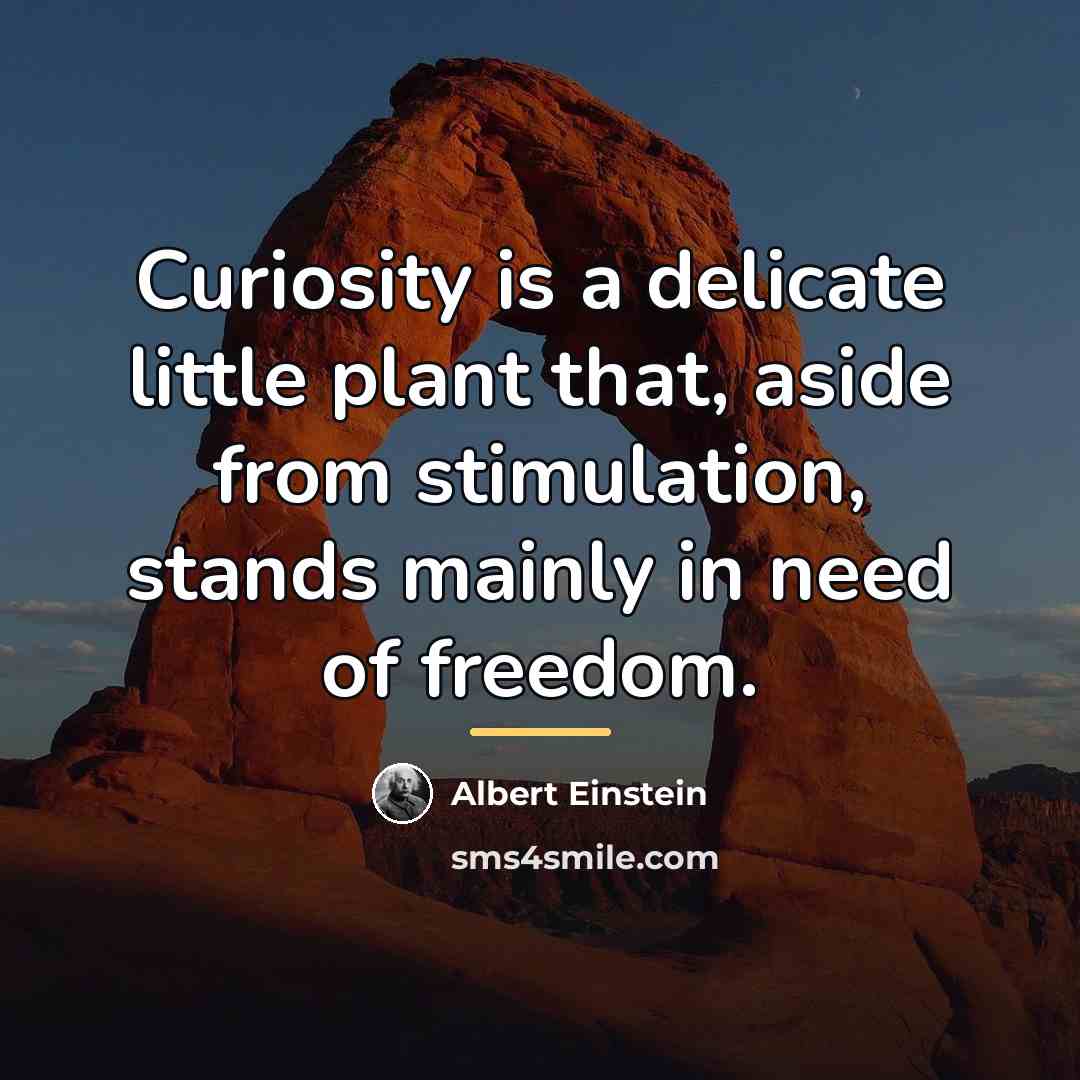 “Curiosity is a delicate little plant that, aside from stimulation,…” quote by Albert Einstein