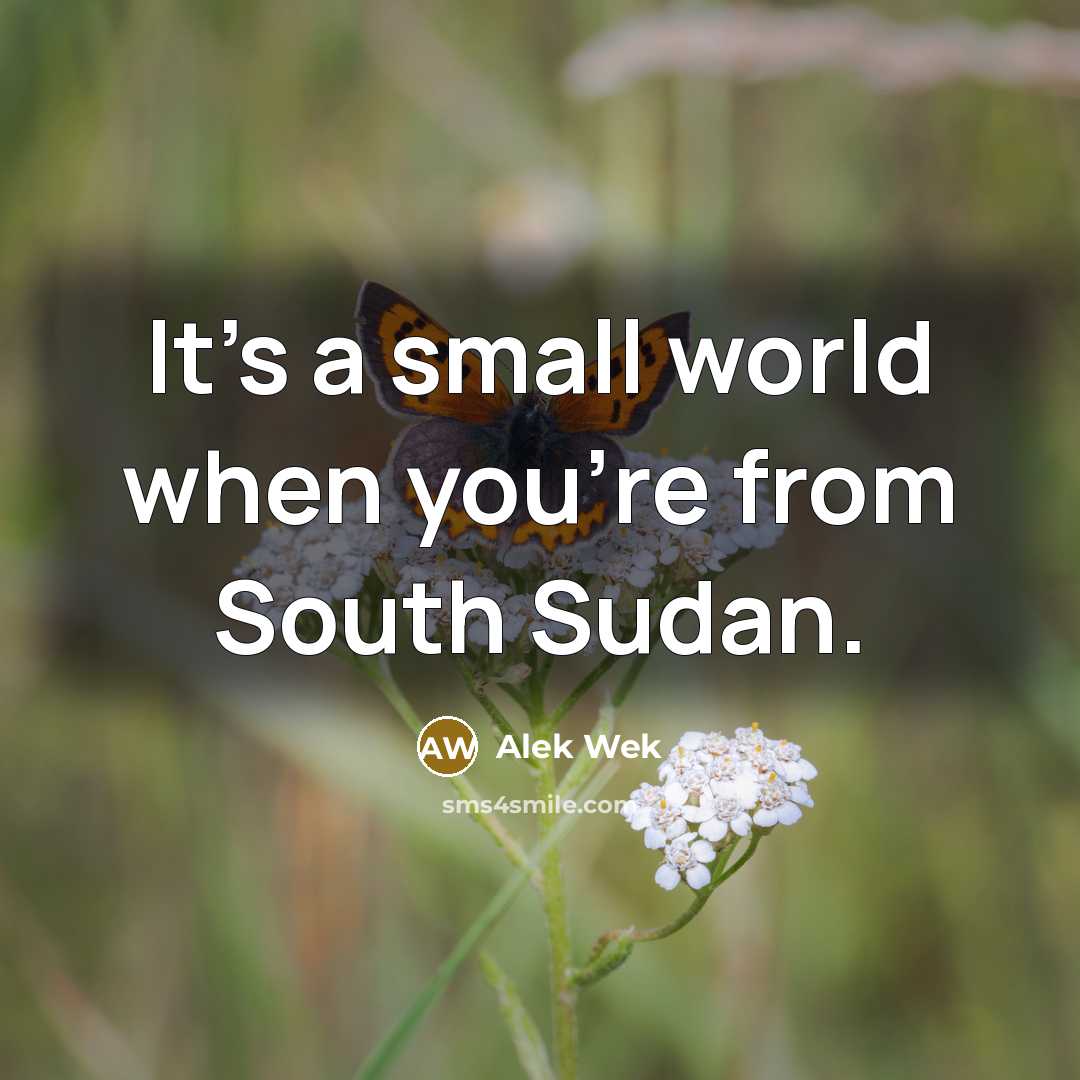 “It's a small world when you're from South Sudan.…” quote by Alek Wek