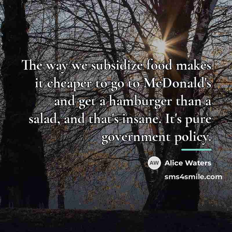 “The way we subsidize food makes it cheaper to go…” quote by Alice Waters