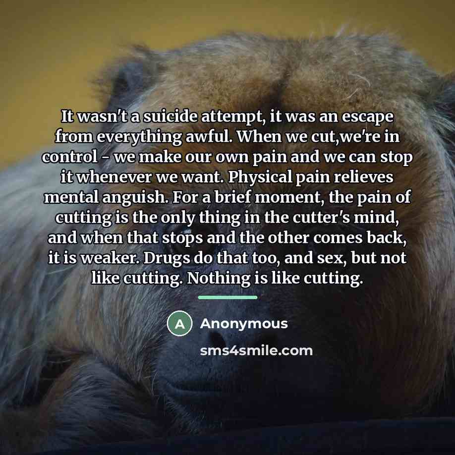 “It wasn't a suicide attempt, it was an escape from…” quote by Anonymous