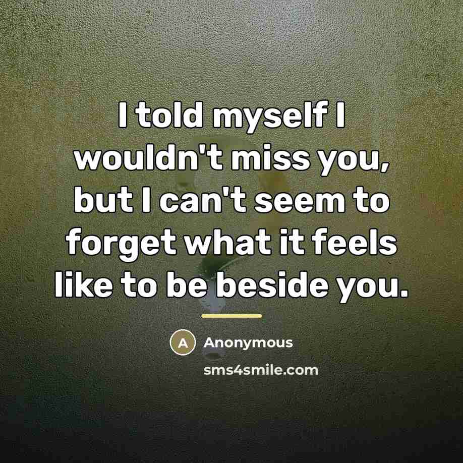 “I told myself I wouldn't miss you, but I can't…” quote by Anonymous
