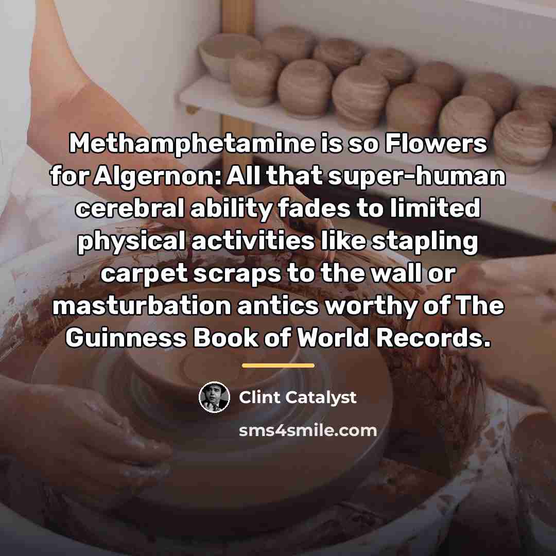 “Methamphetamine is so Flowers for Algernon: All that super-human cerebral…” quote by Clint Catalyst