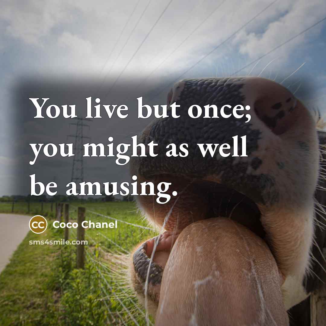 “You live but once; you might as well be amusing.…” quote by Coco Chanel