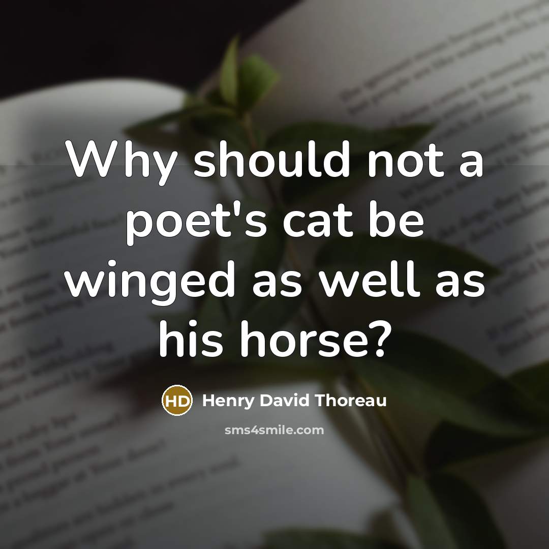 “Why should not a poet's cat be winged as well…” quote by Henry David Thoreau