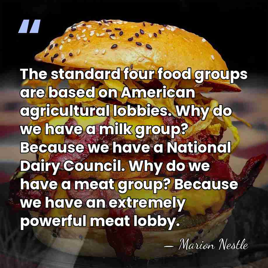 The standard four food groups are based on American agricultural lobbies. Why&hellip; - Marion Nestle
