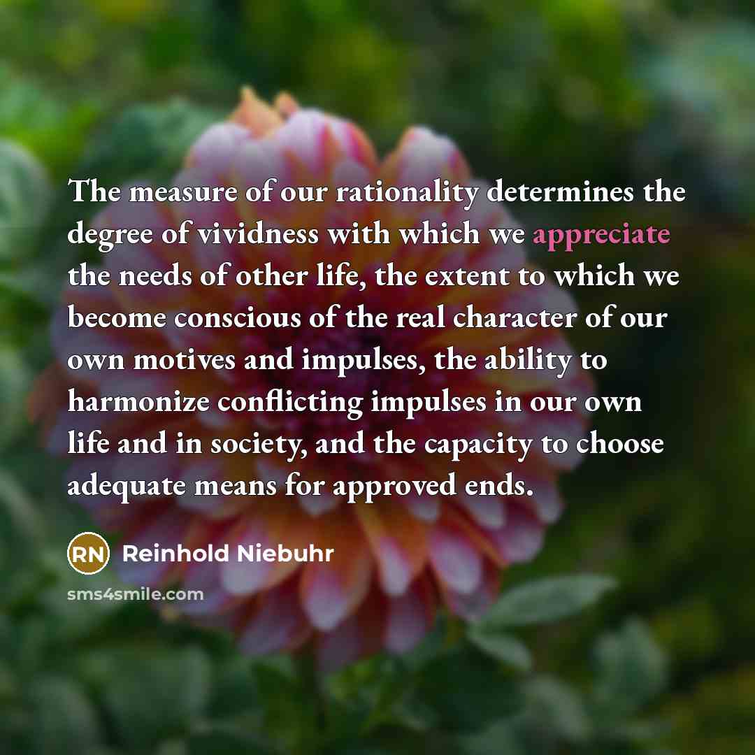 “The measure of our rationality determines the degree of vividness…” quote by Reinhold Niebuhr